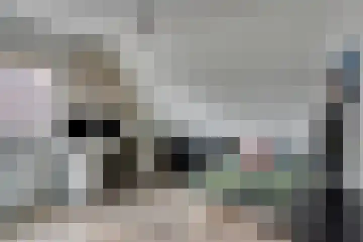 Kollershoeve 15 Helmond thumbnail 39
