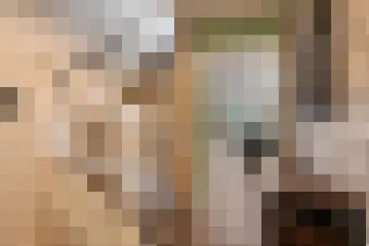 Kollershoeve 15 Helmond thumbnail 7