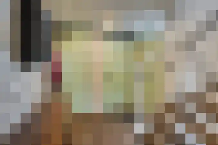 Kollershoeve 15 Helmond thumbnail 8