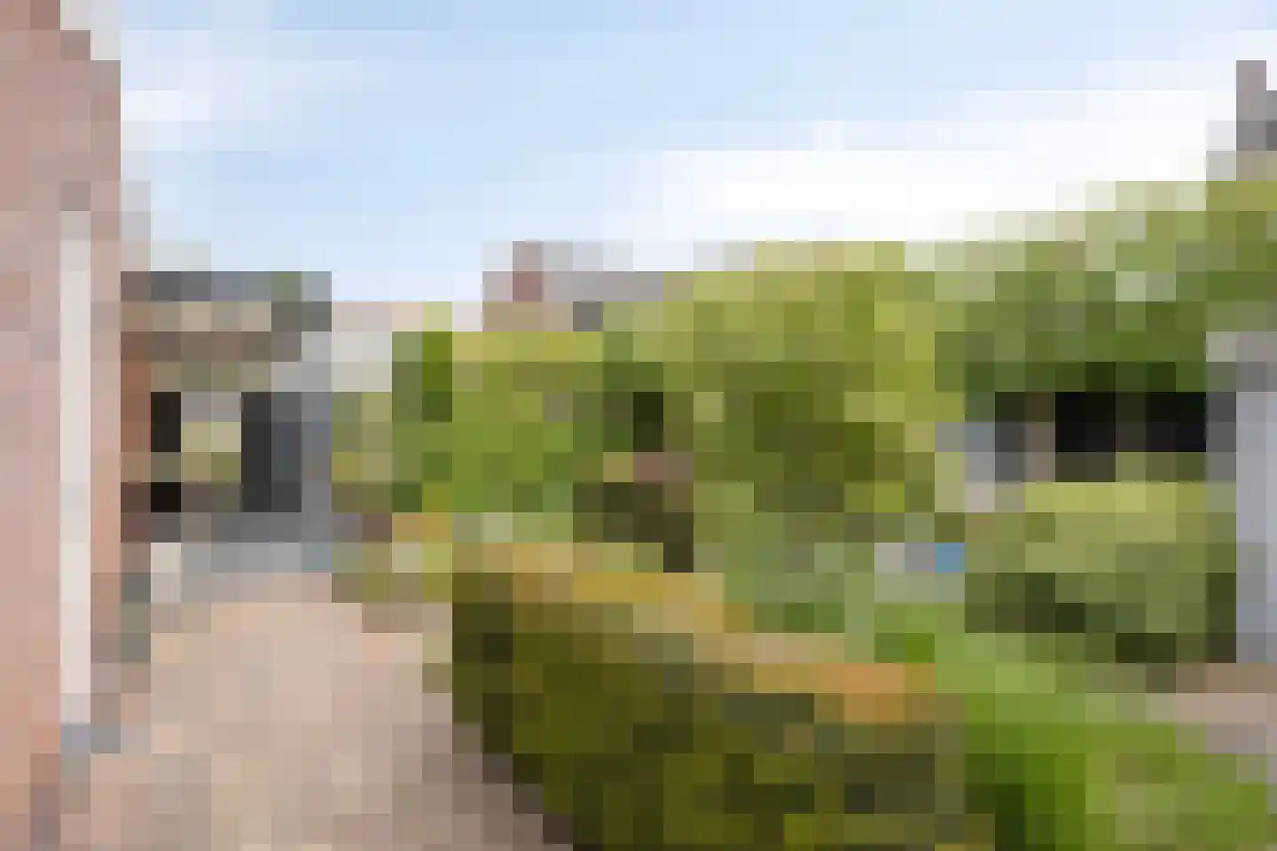 Kollershoeve 29 Helmond thumbnail 37
