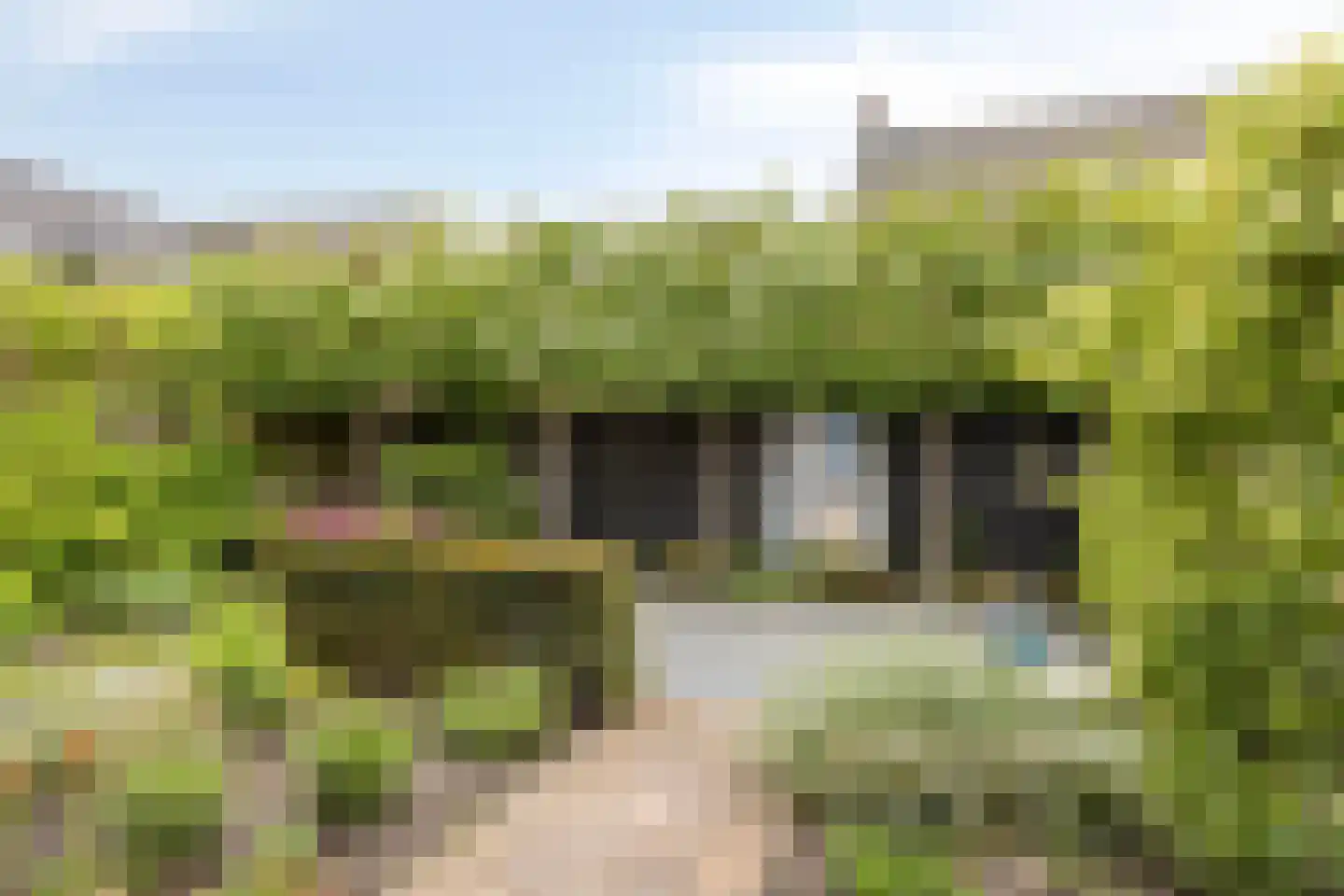 Kollershoeve 29 Helmond thumbnail 38