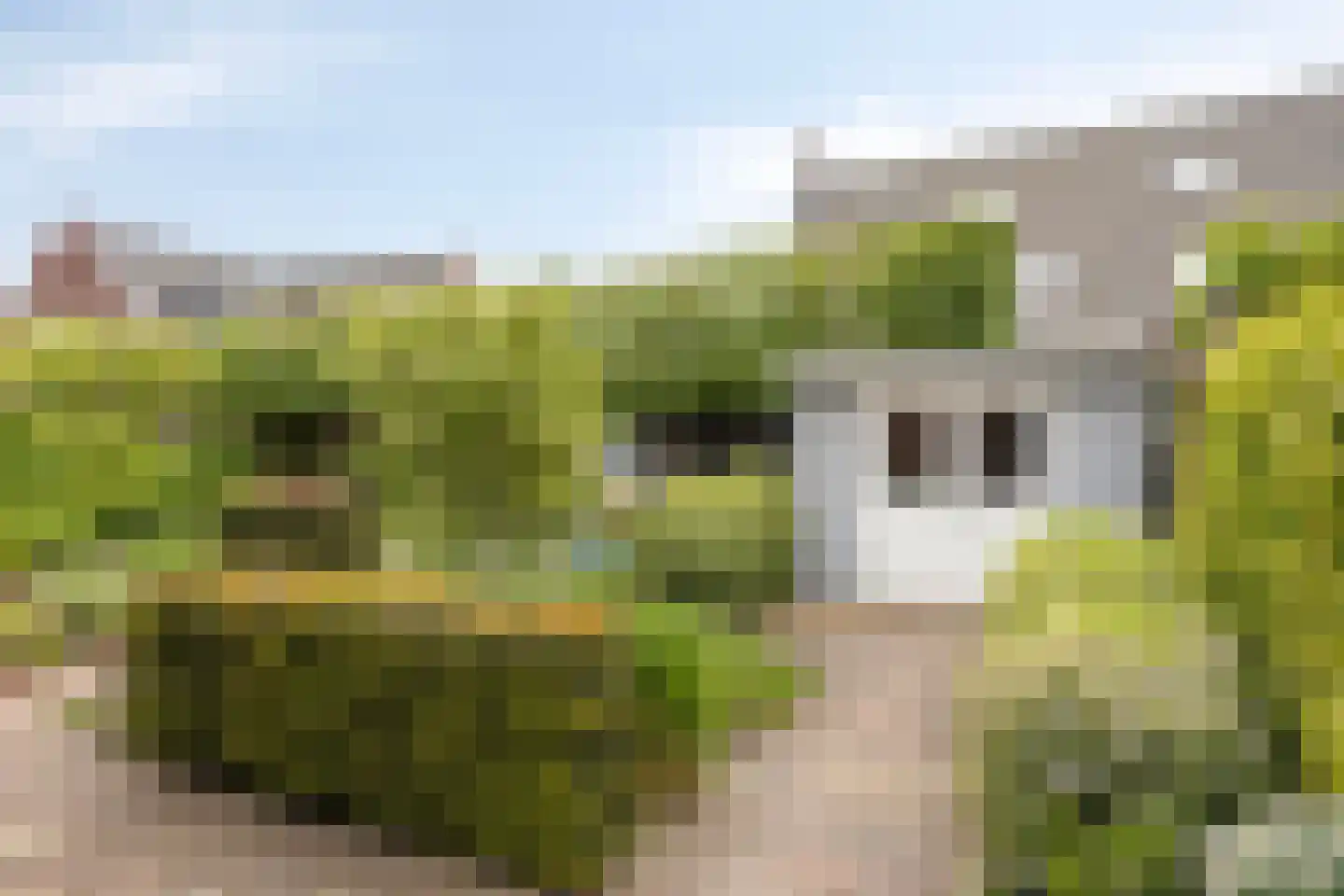 Kollershoeve 29 Helmond thumbnail 40
