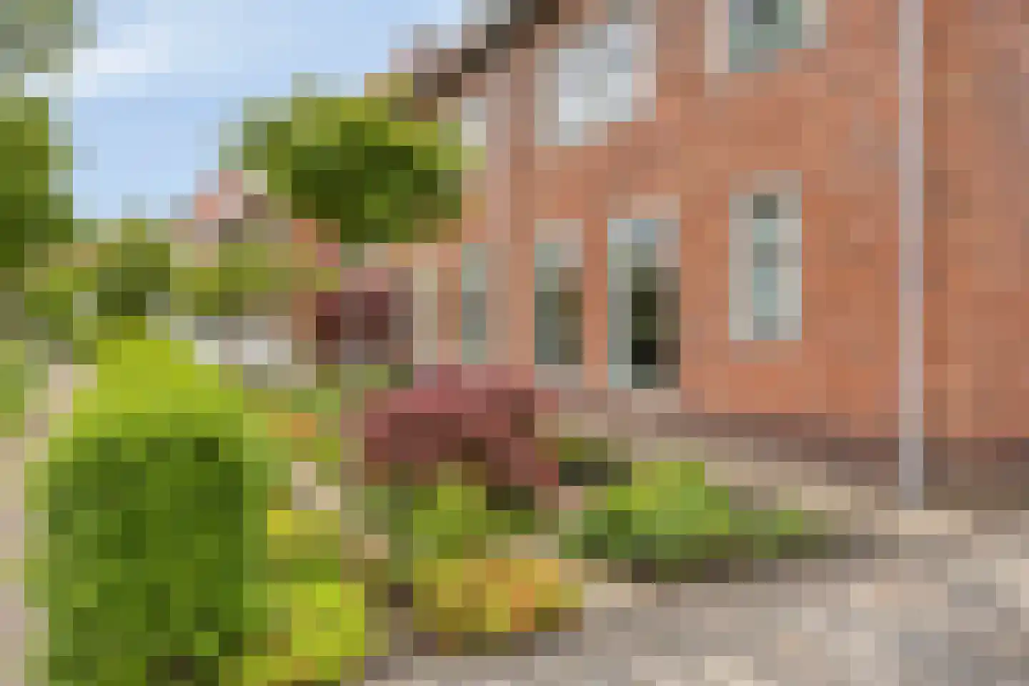 Kollershoeve 29 Helmond thumbnail 44
