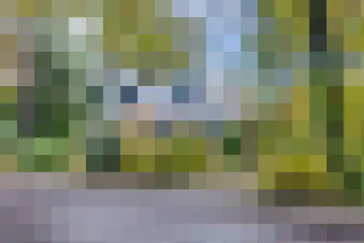 Köllinglaan 9 in Dieren