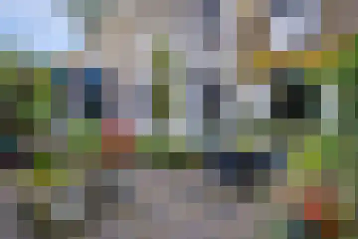 Köllinglaan 9 Dieren thumbnail 33