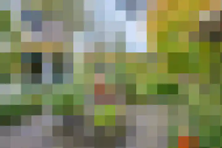 Köllinglaan 9 Dieren thumbnail 34