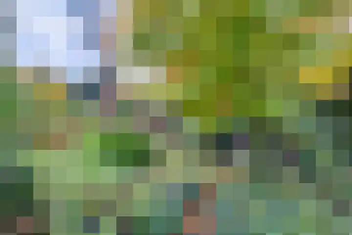 Köllinglaan 9 Dieren thumbnail 40