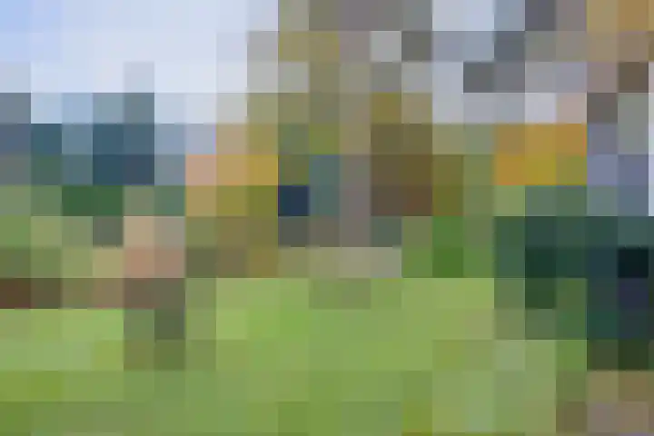 Köllinglaan 9 Dieren thumbnail 41