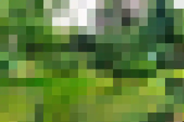 Köllinglaan 9 Dieren thumbnail 46