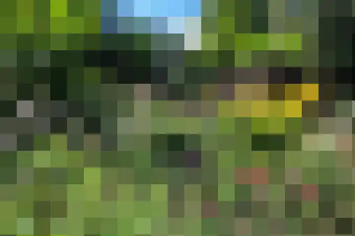 Köllinglaan 9 Dieren thumbnail 47