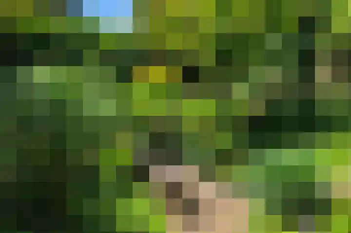 Köllinglaan 9 Dieren thumbnail 48