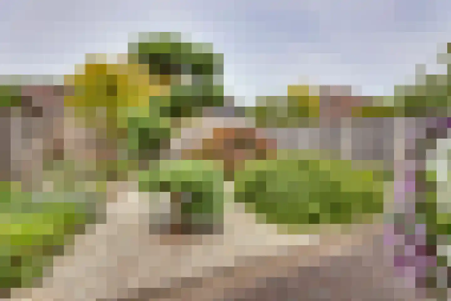 Köllingserf 2 A Holten thumbnail 31