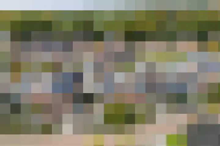 Köllingserf 6 Holten thumbnail 44