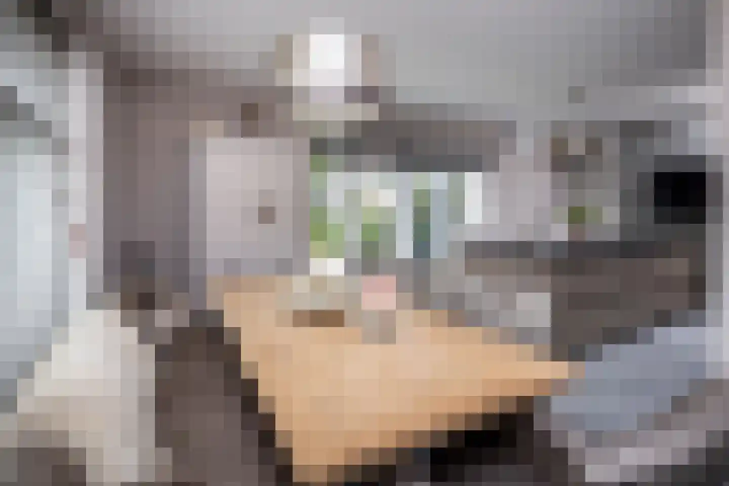 Kollislaan 28 Wijdenes thumbnail 11