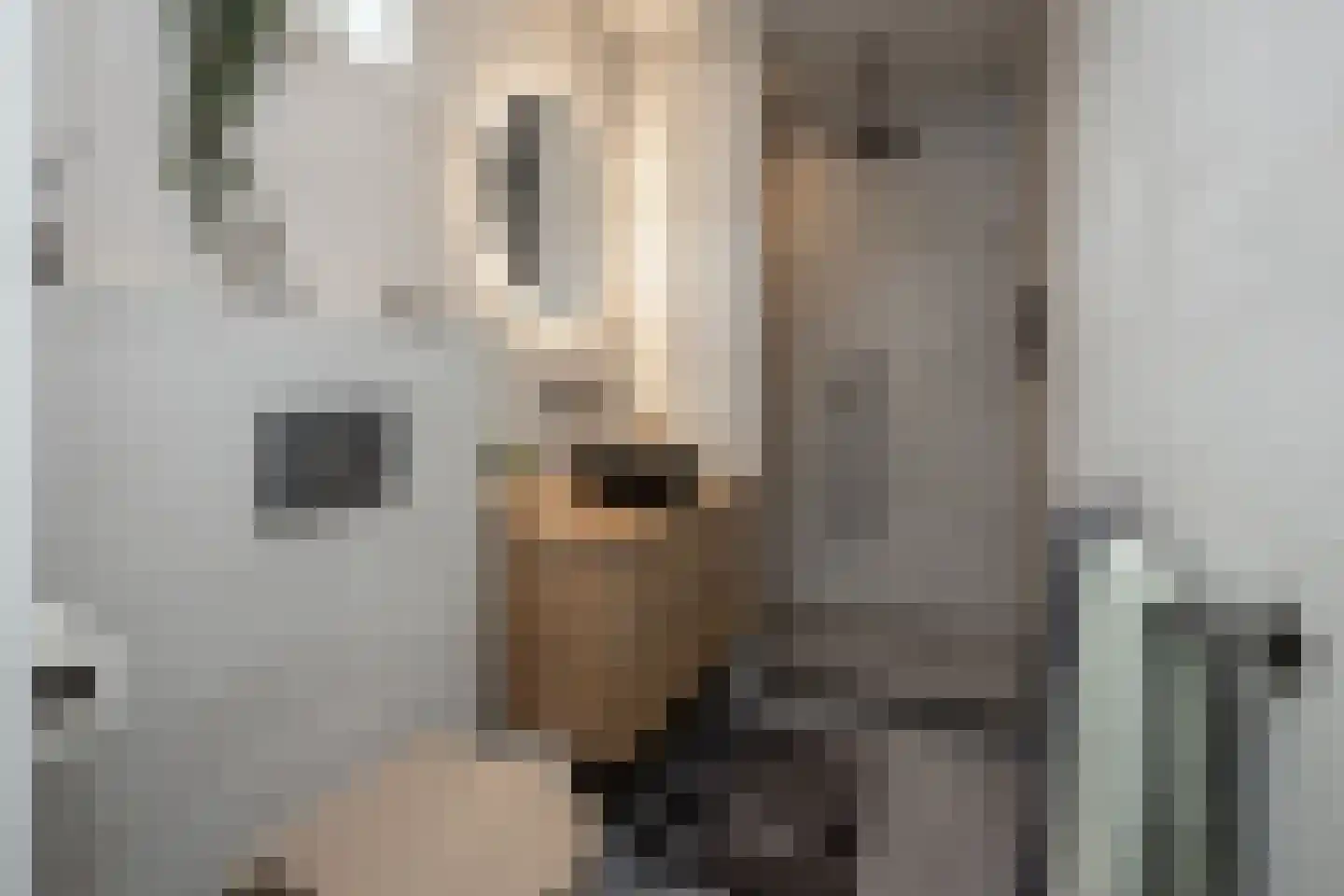 Kollislaan 28 Wijdenes thumbnail 19