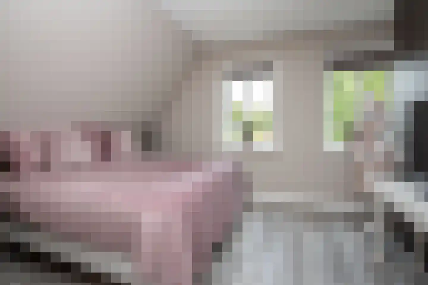 Kollislaan 28 Wijdenes thumbnail 20
