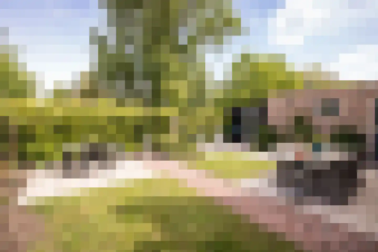 Kollislaan 28 Wijdenes thumbnail 35