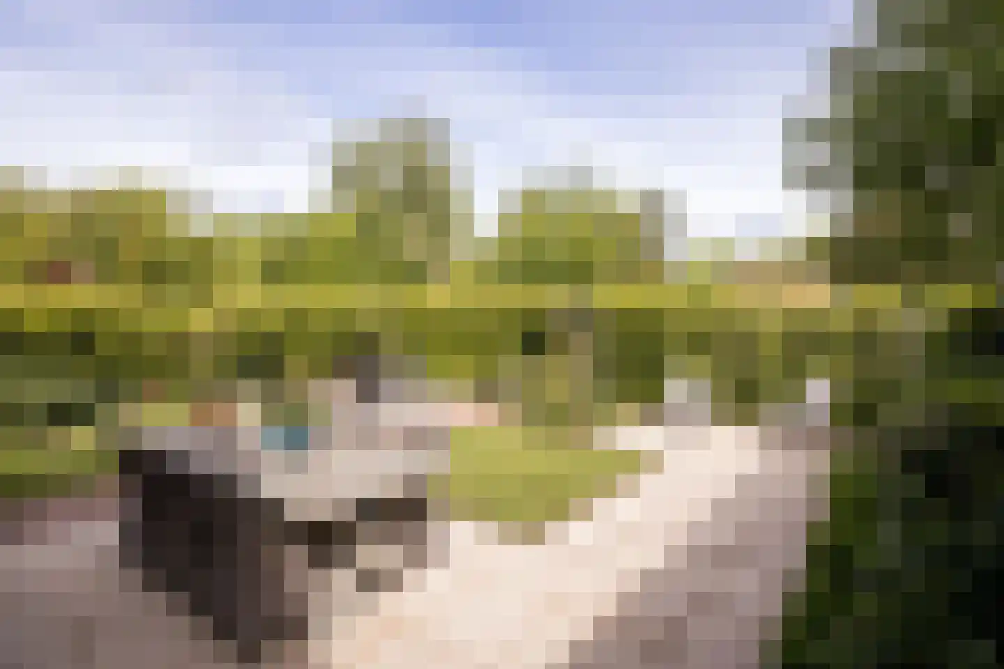 Kollislaan 28 Wijdenes thumbnail 36