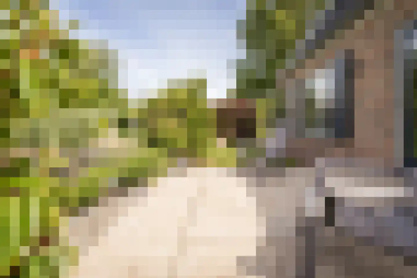 Kollislaan 28 Wijdenes thumbnail 39