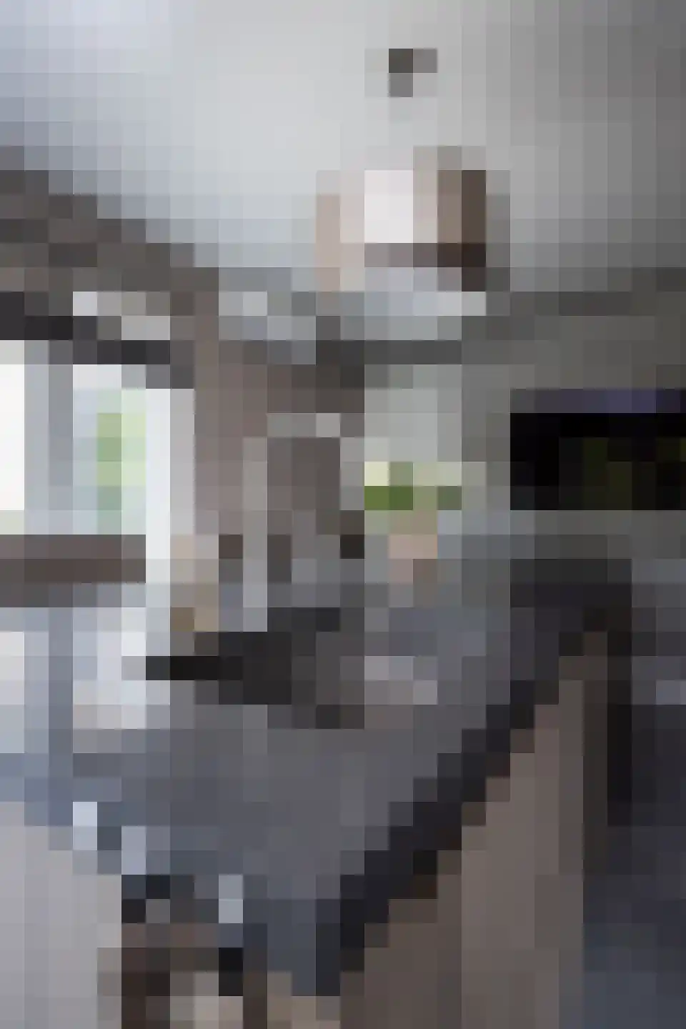 Kollislaan 28 Wijdenes thumbnail 53