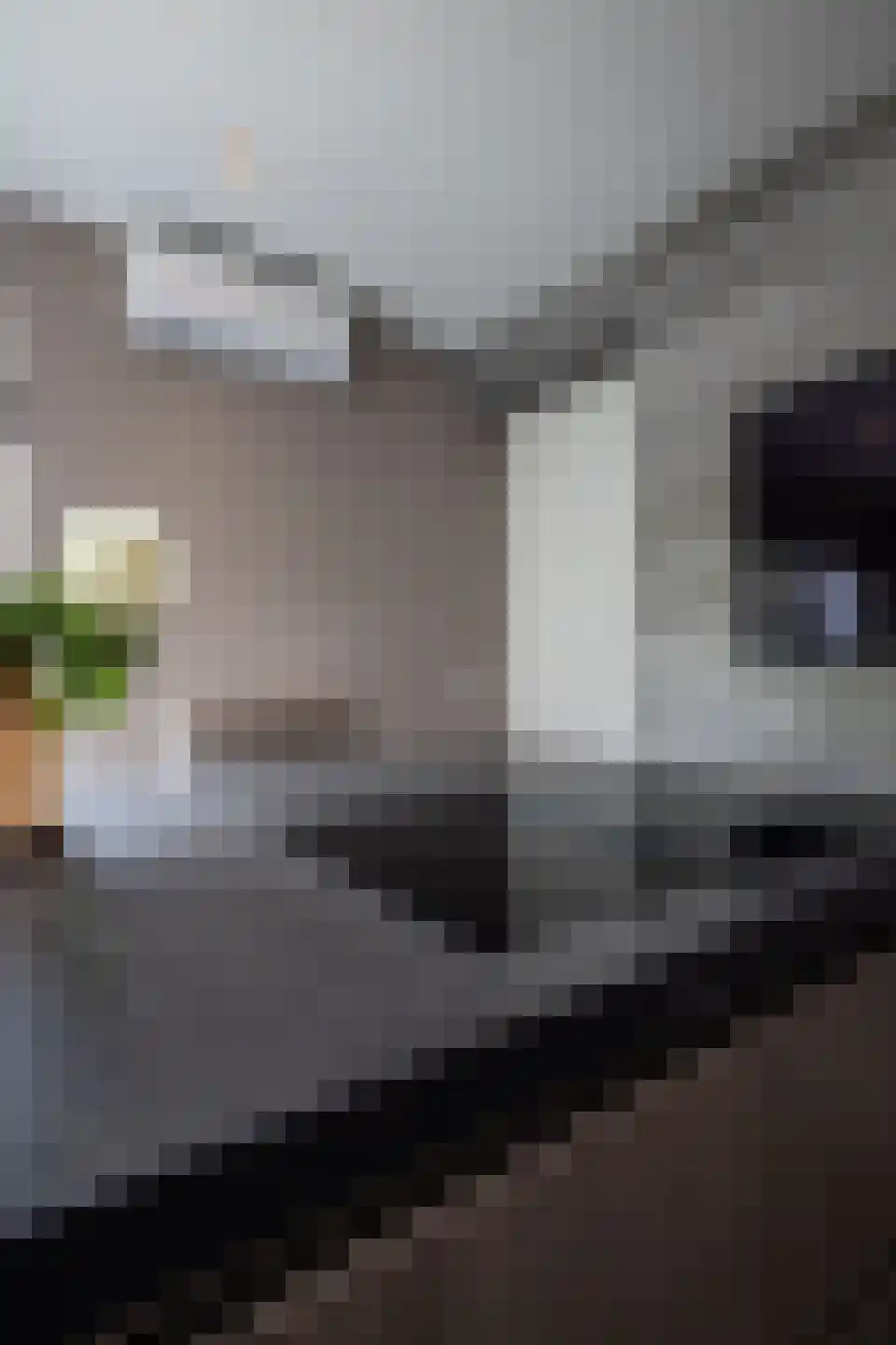 Kollislaan 28 Wijdenes thumbnail 54