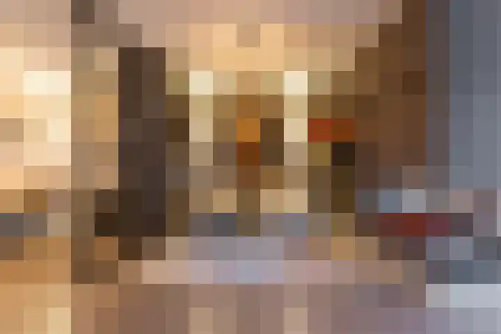 Kollislaan 9 Wijdenes thumbnail 12