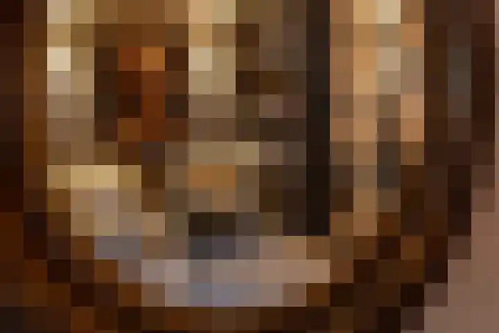 Kollislaan 9 Wijdenes thumbnail 13