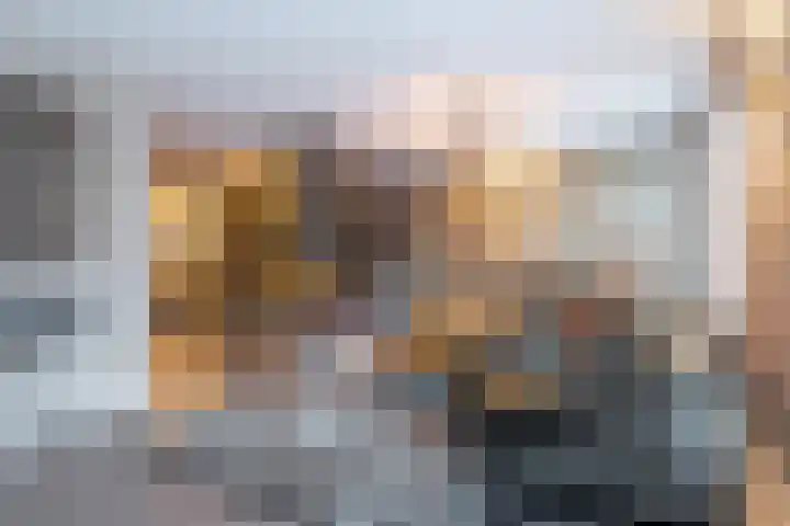 Kollislaan 9 Wijdenes thumbnail 17