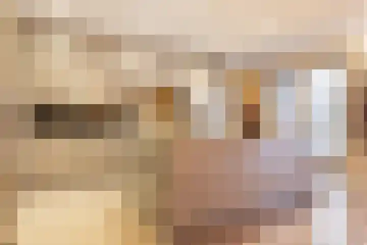 Kollislaan 9 Wijdenes thumbnail 21