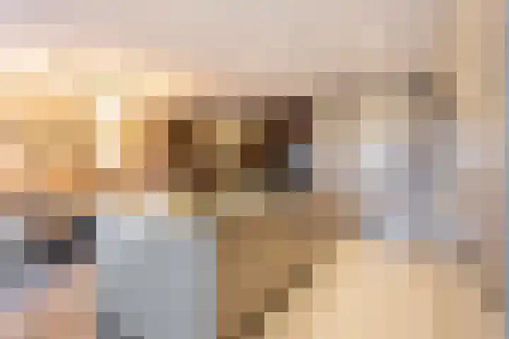 Kollislaan 9 Wijdenes thumbnail 23