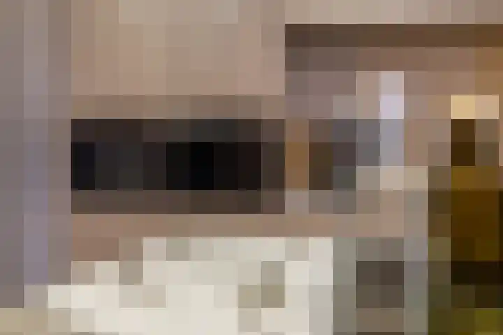 Kollislaan 9 Wijdenes thumbnail 27