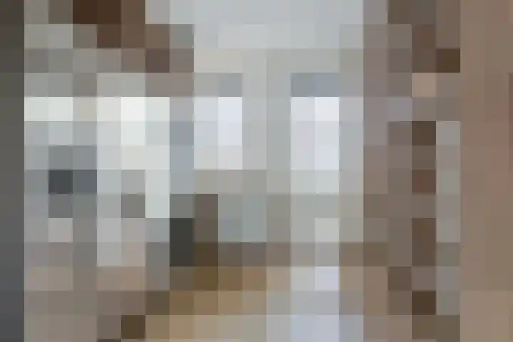 Kollislaan 9 Wijdenes thumbnail 29