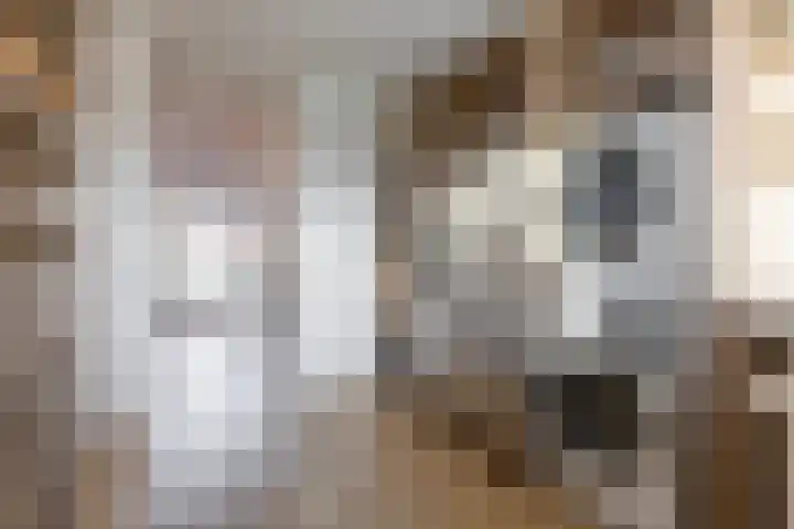 Kollislaan 9 Wijdenes thumbnail 30