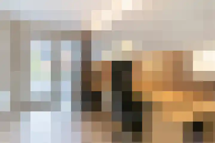 Kollislaan 9 Wijdenes thumbnail 31