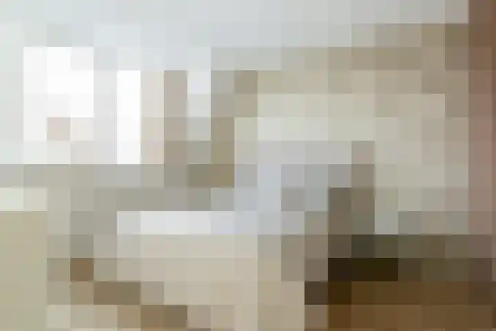 Kollislaan 9 Wijdenes thumbnail 34