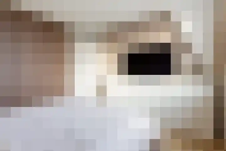 Kollislaan 9 Wijdenes thumbnail 38
