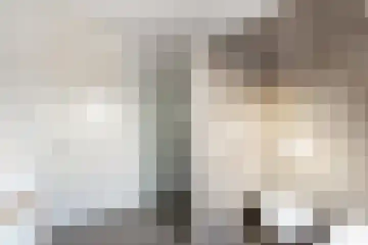 Kollislaan 9 Wijdenes thumbnail 43