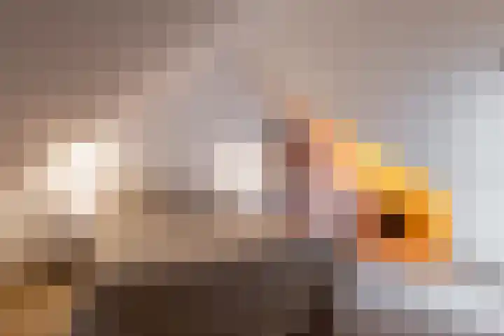 Kollislaan 9 Wijdenes thumbnail 47