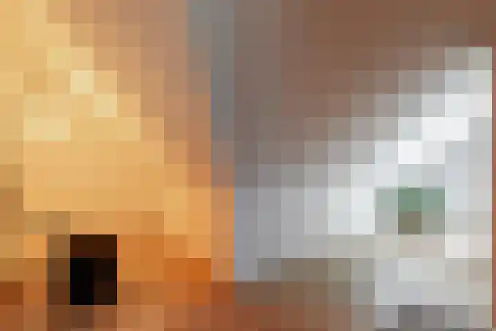 Kollislaan 9 Wijdenes thumbnail 49