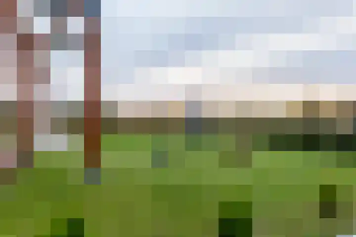 Kollislaan 9 Wijdenes thumbnail 52