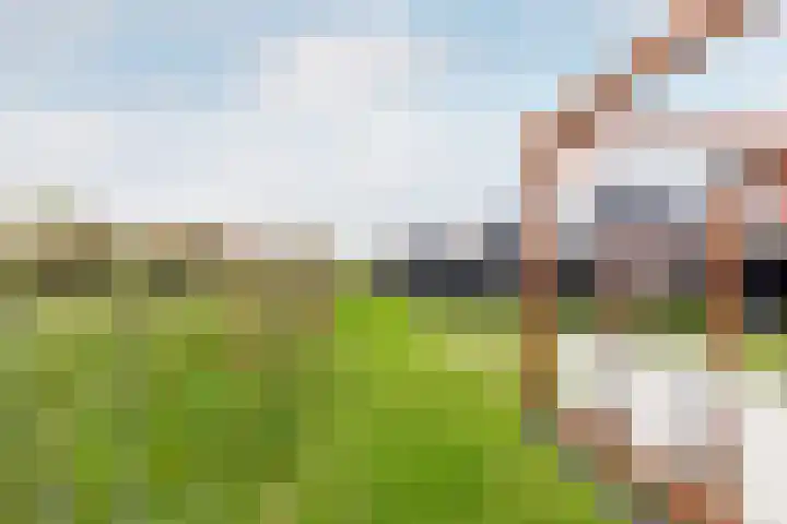 Kollislaan 9 Wijdenes thumbnail 55