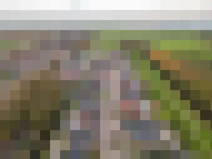 Kollislaan 9 Wijdenes thumbnail 59