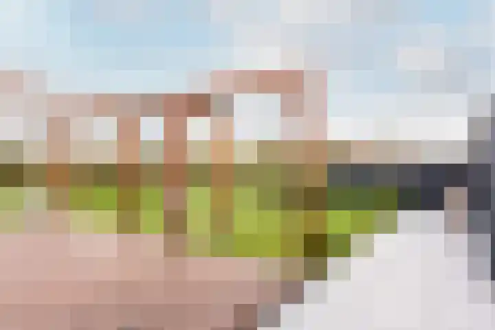 Kollislaan 9 Wijdenes thumbnail 6