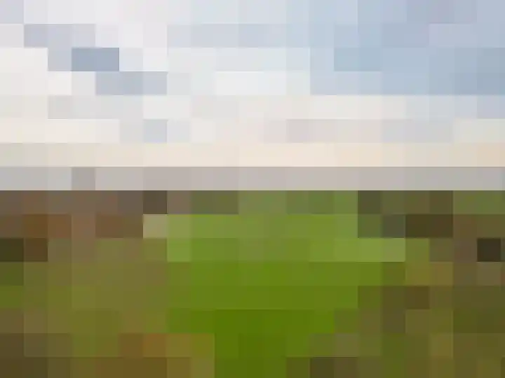 Kollislaan 9 Wijdenes thumbnail 60
