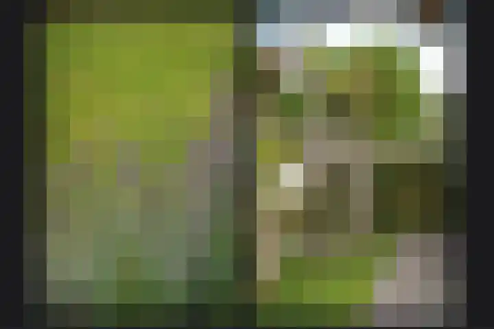 Kollumerlandstraat 10 Ochten thumbnail 6