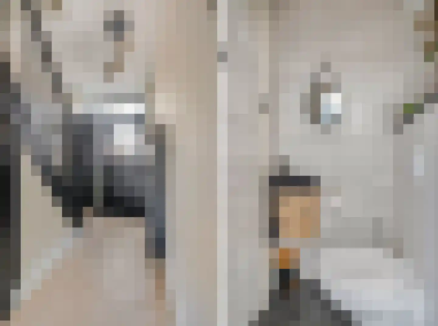 Kollumerlandstraat 15 Ochten thumbnail 6
