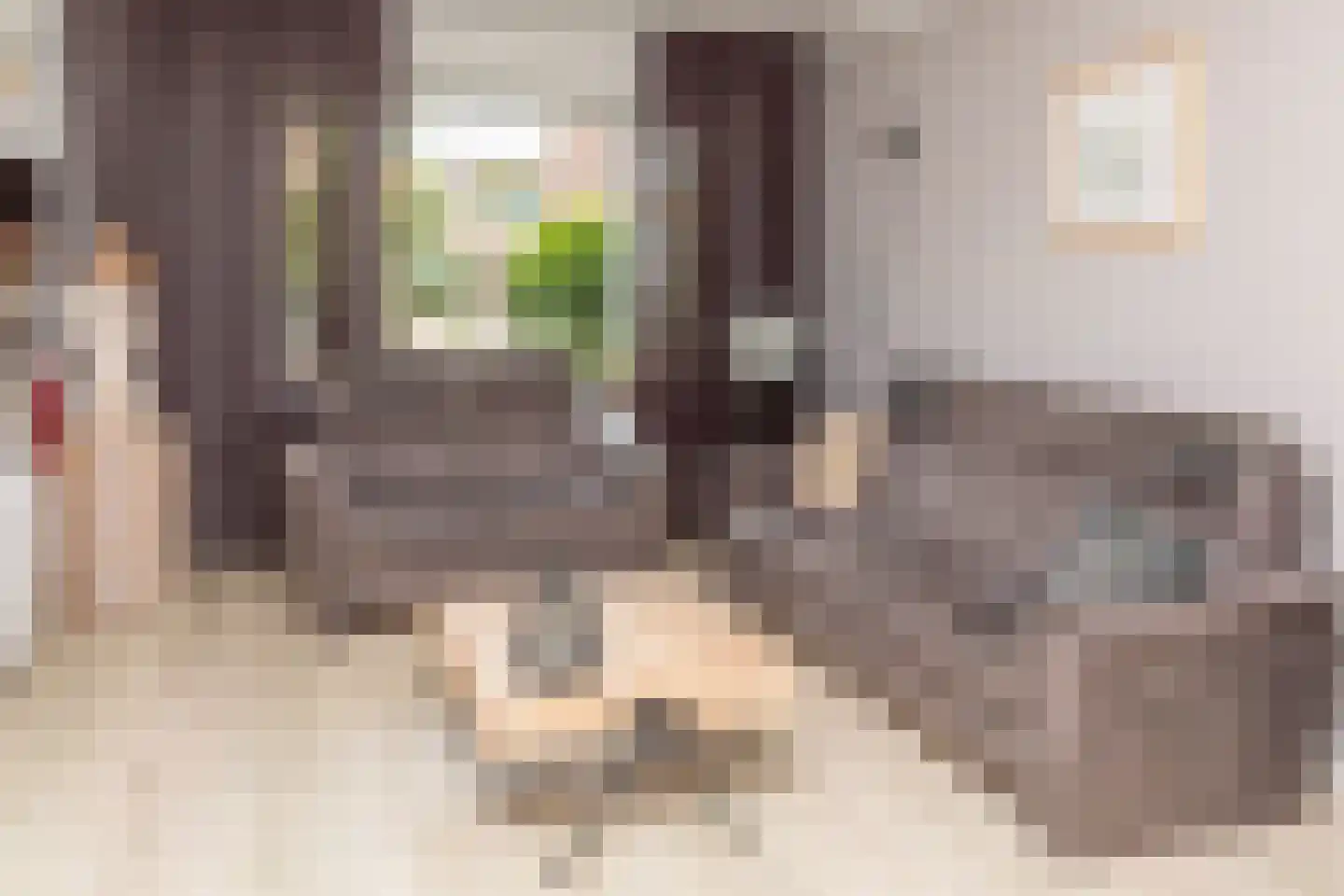 Kollumerlandstraat 2 Ochten thumbnail 12