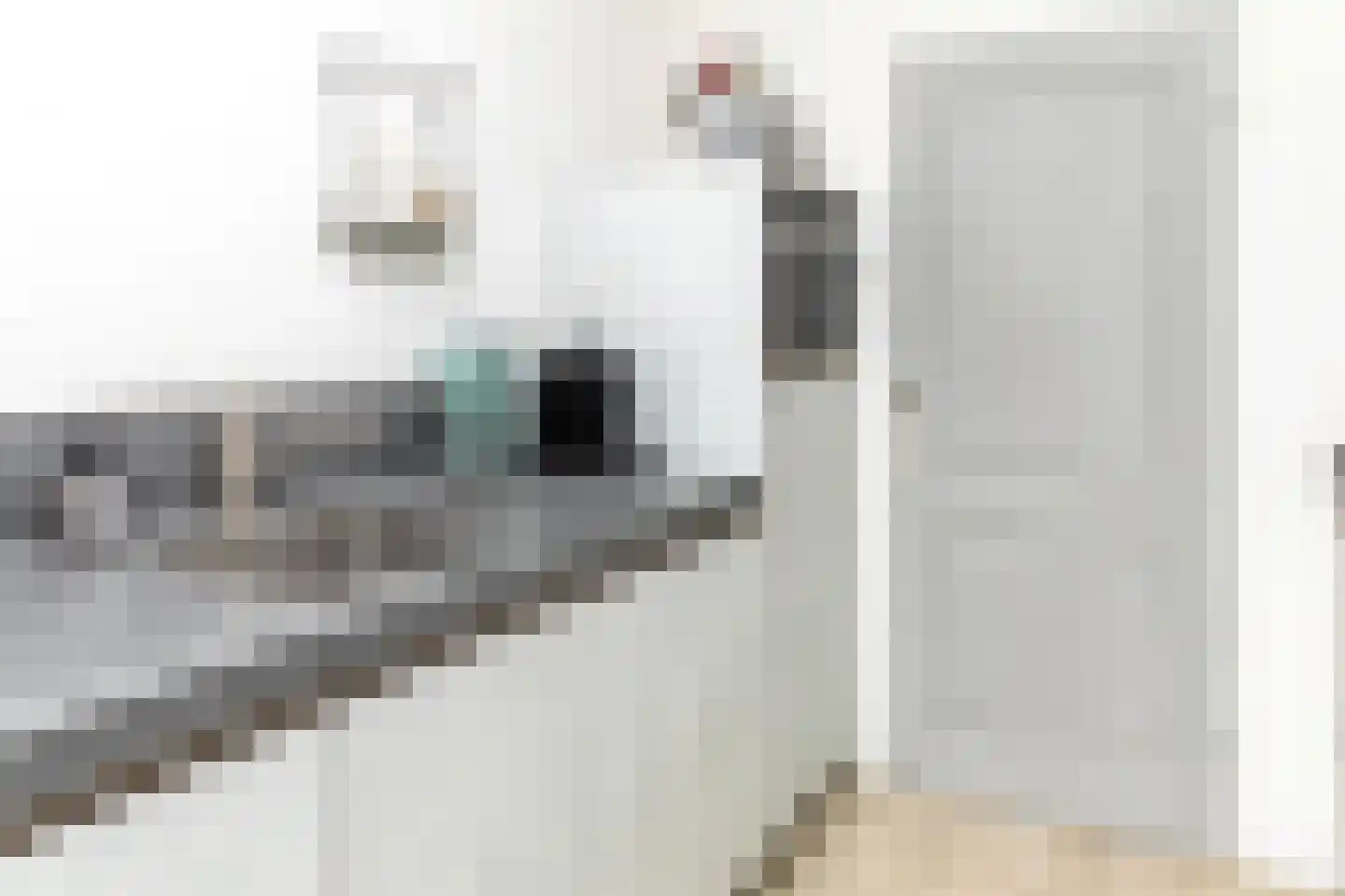 Kollumerlandstraat 2 Ochten thumbnail 20