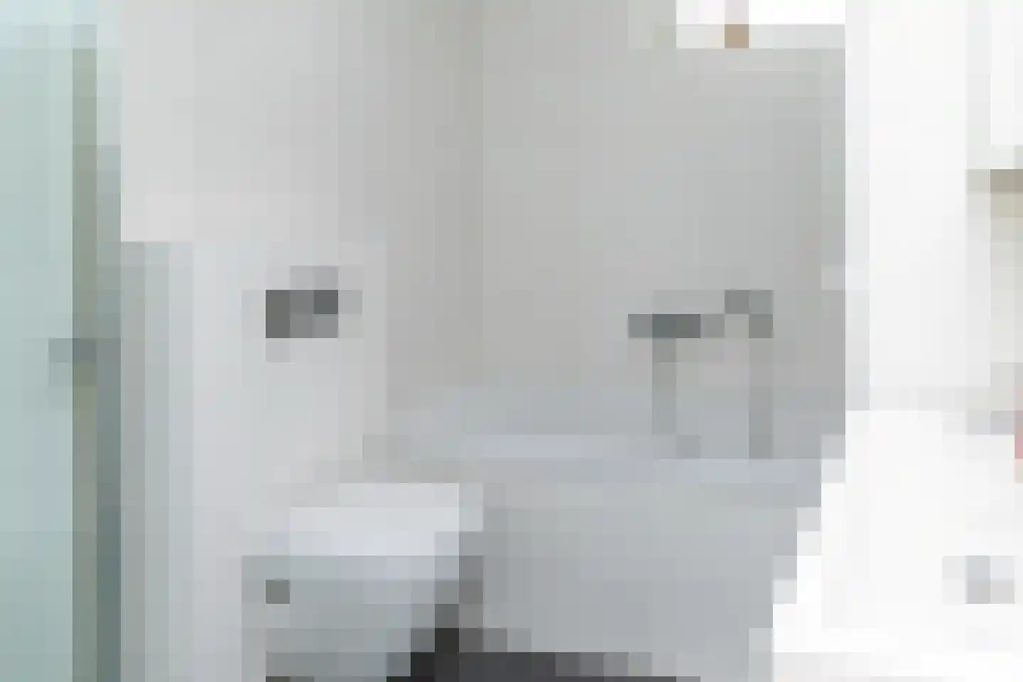 Kollumerlandstraat 2 Ochten thumbnail 29