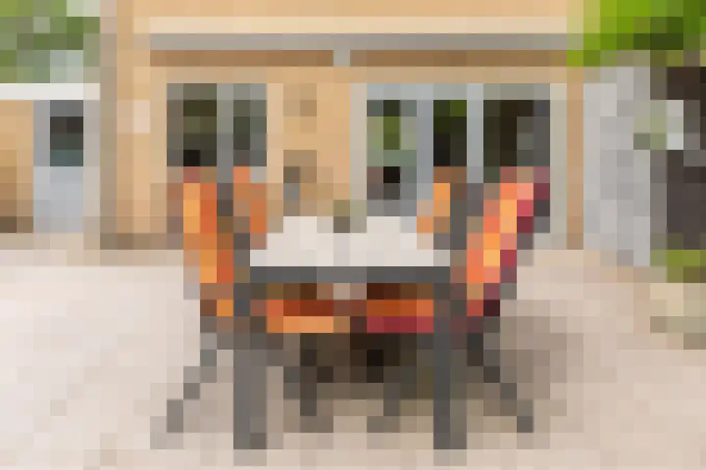 Kollumerlandstraat 2 Ochten thumbnail 47